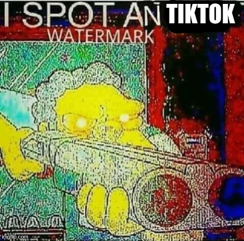 i spot a water mark | TIKTOK | image tagged in i spot a water mark | made w/ Imgflip meme maker
