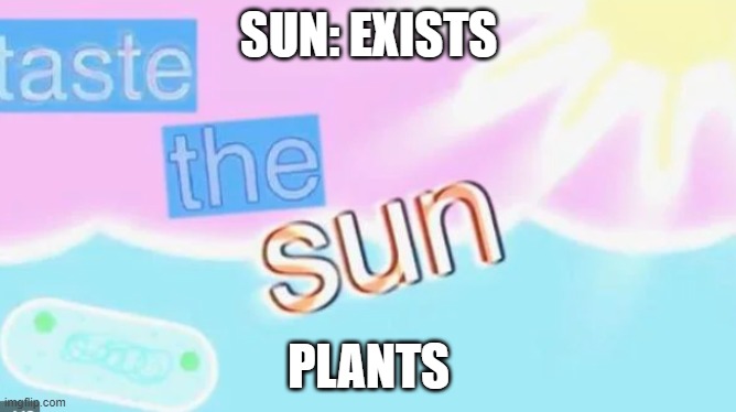yes | SUN: EXISTS; PLANTS | image tagged in yes | made w/ Imgflip meme maker