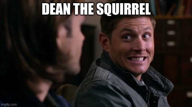 Dean The Squirrel | DEAN THE SQUIRREL | image tagged in dean woops - supernatural | made w/ Imgflip meme maker
