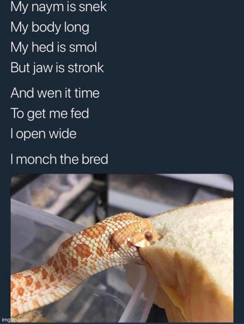 XD | made w/ Imgflip meme maker