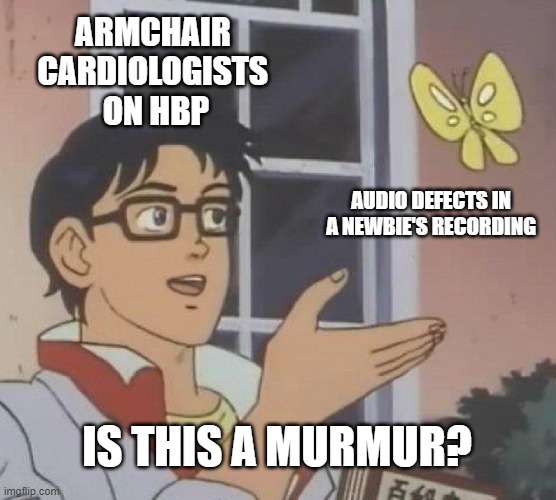 No... No it isn't. | ARMCHAIR 
CARDIOLOGISTS 
ON HBP; AUDIO DEFECTS IN A NEWBIE'S RECORDING; IS THIS A MURMUR? | image tagged in memes,is this a pigeon | made w/ Imgflip meme maker