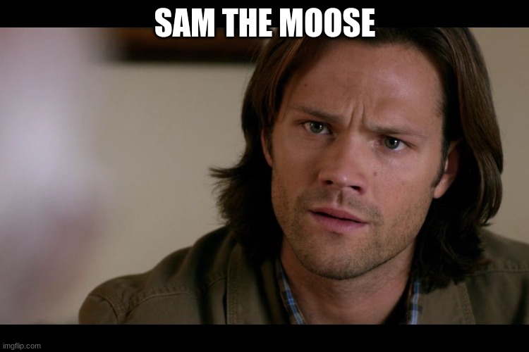 Sam Winchester | SAM THE MOOSE | image tagged in sam winchester | made w/ Imgflip meme maker