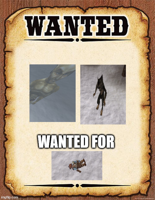 Any sighting report to: richer5019@gmail.com | WANTED FOR | image tagged in wanted poster | made w/ Imgflip meme maker
