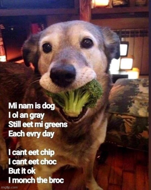 XDD | made w/ Imgflip meme maker