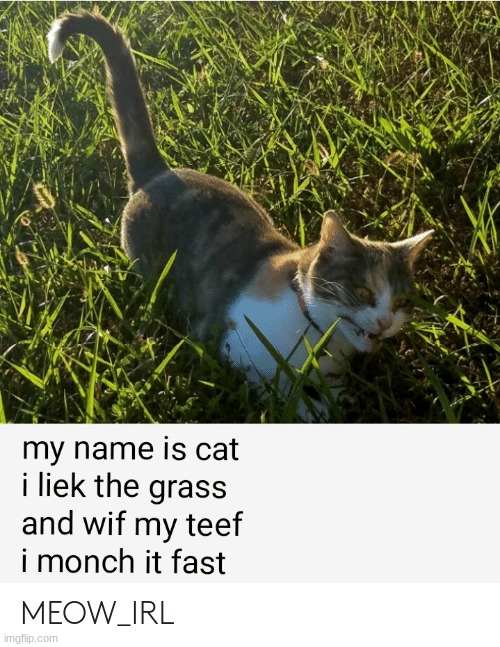 XD | made w/ Imgflip meme maker