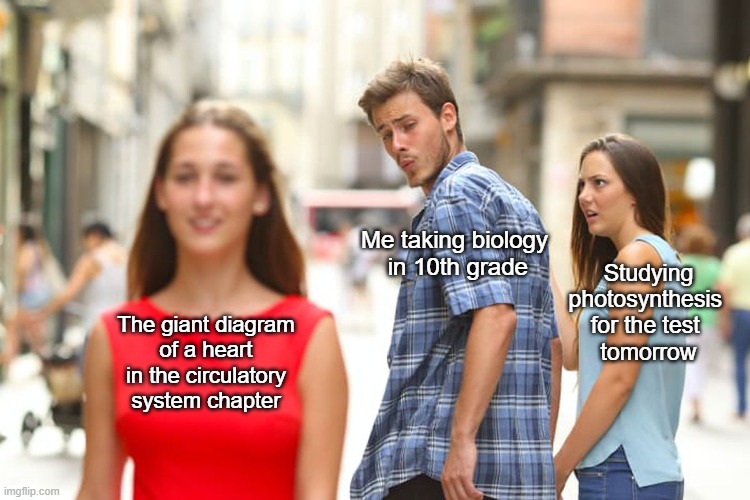 Ah, high school... | Me taking biology
 in 10th grade; Studying photosynthesis 
for the test 
tomorrow; The giant diagram
of a heart
in the circulatory
system chapter | image tagged in memes,distracted boyfriend | made w/ Imgflip meme maker