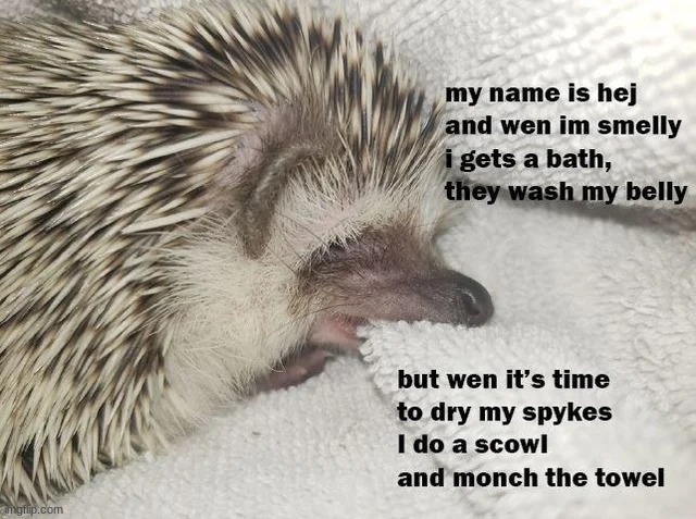 XD | made w/ Imgflip meme maker