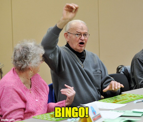 Bingo | BINGO! | image tagged in bingo | made w/ Imgflip meme maker