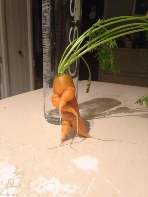 gangster carrot | image tagged in gangster carrot | made w/ Imgflip meme maker