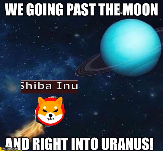 Shiba inu | WE GOING PAST THE MOON; AND RIGHT INTO URANUS! | image tagged in shiba inu,shib,crypto,cryptocurrency | made w/ Imgflip meme maker