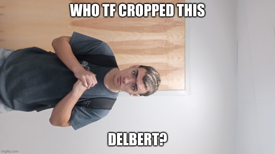 WHO TF CROPPED THIS; DELBERT? | image tagged in paradise pd,memes,dank,dank memes,funny | made w/ Imgflip meme maker
