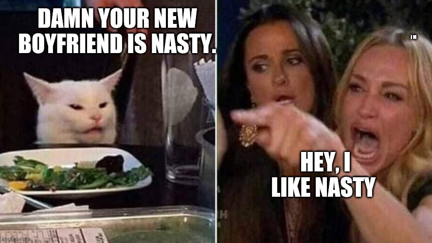 Reverse Smudge and Karen | DAMN YOUR NEW BOYFRIEND IS NASTY. J M; HEY, I LIKE NASTY | image tagged in reverse smudge and karen | made w/ Imgflip meme maker