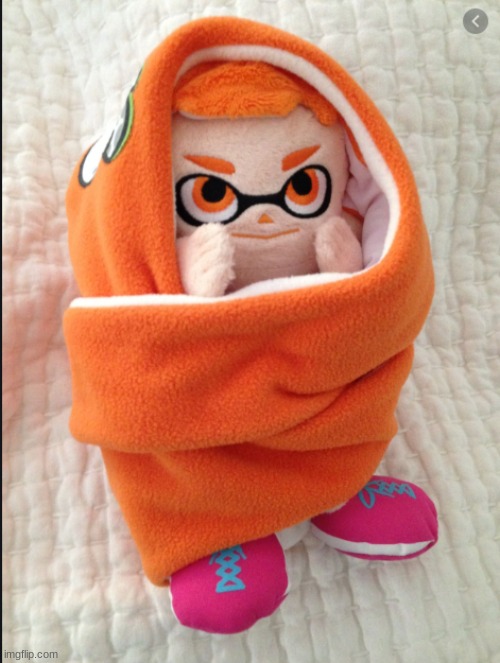 inklings are squids | image tagged in woomy in a blanket | made w/ Imgflip meme maker