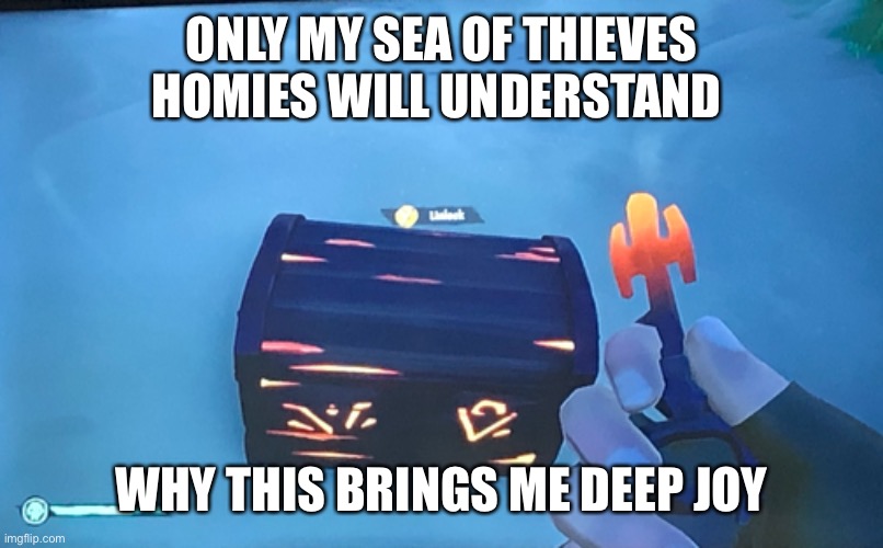 Core memory | ONLY MY SEA OF THIEVES HOMIES WILL UNDERSTAND; WHY THIS BRINGS ME DEEP JOY | image tagged in funny meme | made w/ Imgflip meme maker