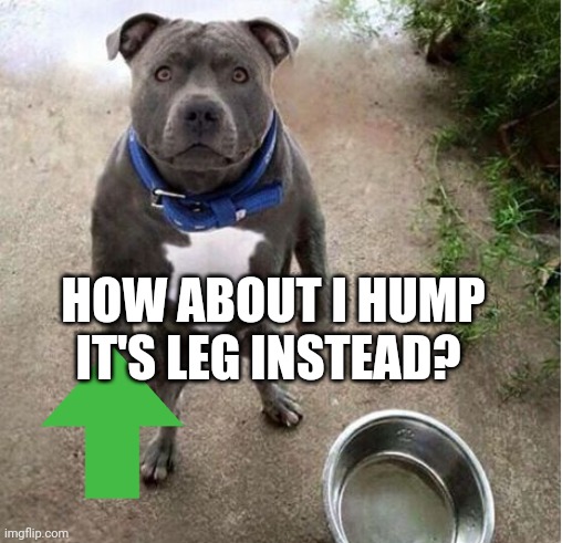 Hungry Dog | HOW ABOUT I HUMP IT'S LEG INSTEAD? | image tagged in hungry dog | made w/ Imgflip meme maker