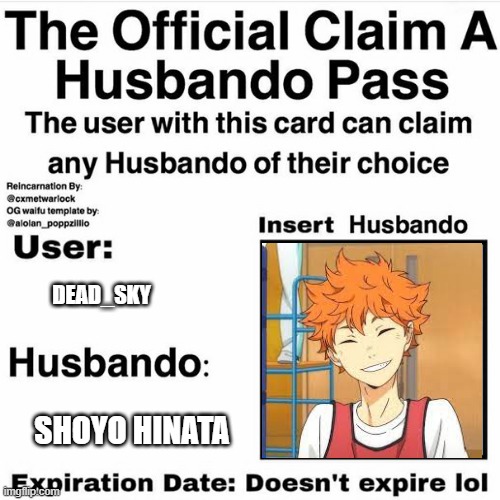 I don't judge, you shouldn't either | DEAD_SKY; SHOYO HINATA | image tagged in claim your husbando,anime,memes | made w/ Imgflip meme maker