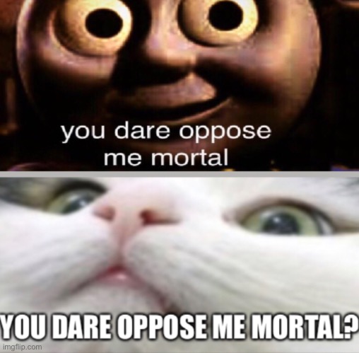 Which one do you like better? Say your opinion in the comments below. | image tagged in you dare oppose me mortal,you dare oppose me mortal cat edition | made w/ Imgflip meme maker