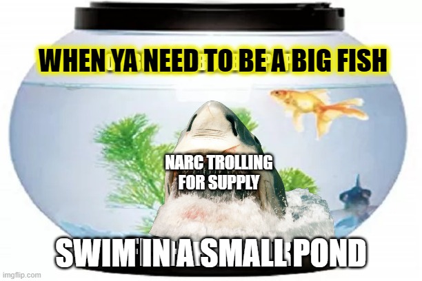 big fish in small ponds | WHEN YA NEED TO BE A BIG FISH; NARC TROLLING FOR SUPPLY; SWIM IN A SMALL POND | image tagged in fish bowl,narcissist,narcissism,closed minds | made w/ Imgflip meme maker