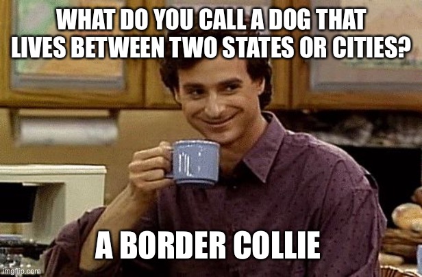 Dad Joke | WHAT DO YOU CALL A DOG THAT LIVES BETWEEN TWO STATES OR CITIES? A BORDER COLLIE | image tagged in dad joke | made w/ Imgflip meme maker