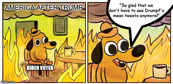 "So glad that we don't have to see Drumpf's mean tweets anymore!"; AMERICA AFTER TRUMP; BIDEN VOTER | image tagged in trump,biden,america | made w/ Imgflip meme maker