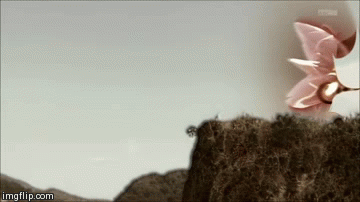 Gaim | image tagged in gifs | made w/ Imgflip video-to-gif maker