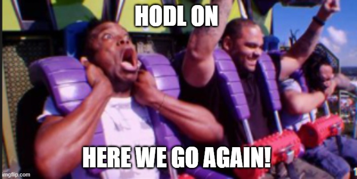 HODL ON; HERE WE GO AGAIN! | made w/ Imgflip meme maker