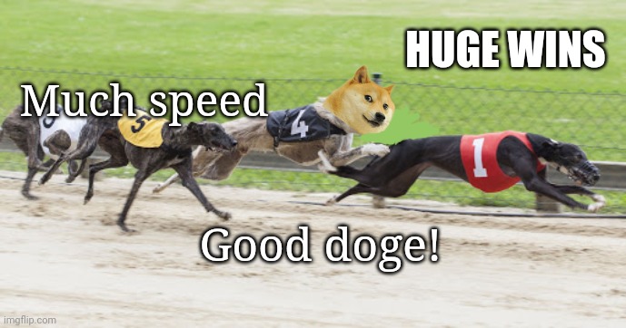 Meme Doge tries out for dog racing! | HUGE WINS; Much speed; Good doge! | image tagged in meme,doge,racing,sports,dog racing | made w/ Imgflip meme maker
