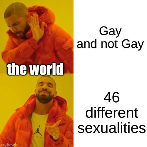 No offense I just think its silly (im bi too) | Gay and not Gay; the world; 46 different sexualities | image tagged in memes,drake hotline bling | made w/ Imgflip meme maker