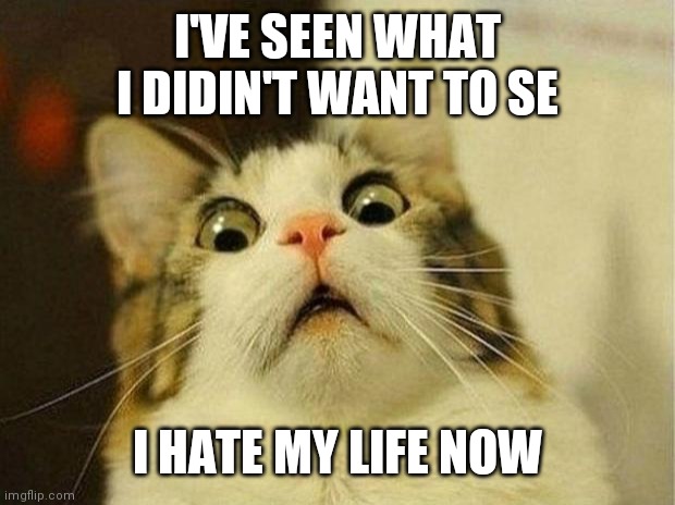 Oh no | I'VE SEEN WHAT I DIDIN'T WANT TO SE; I HATE MY LIFE NOW | image tagged in memes,scared cat | made w/ Imgflip meme maker