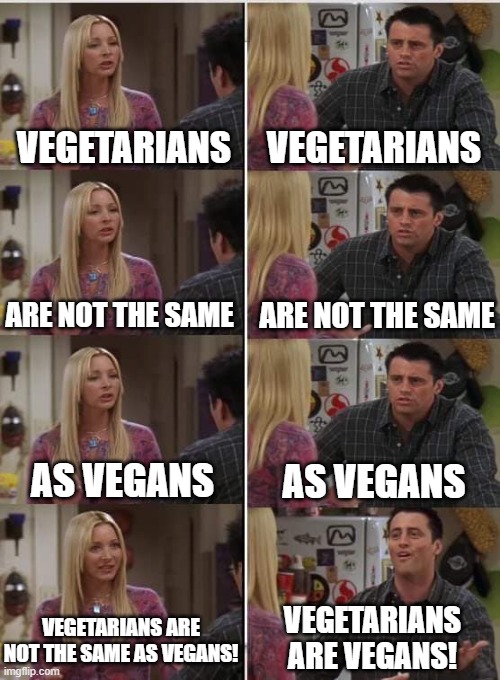 Seriously xD | VEGETARIANS; VEGETARIANS; ARE NOT THE SAME; ARE NOT THE SAME; AS VEGANS; AS VEGANS; VEGETARIANS ARE VEGANS! VEGETARIANS ARE NOT THE SAME AS VEGANS! | image tagged in phoebe joey,vegetarian,vegan,joey,phoebe teaching joey in friends | made w/ Imgflip meme maker