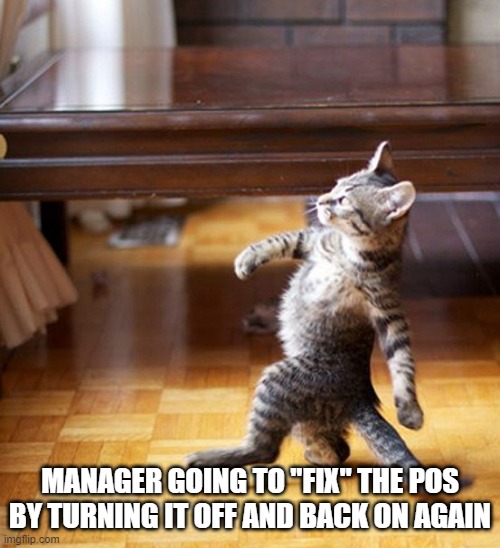 Cat Walking Like A Boss |  MANAGER GOING TO "FIX" THE POS BY TURNING IT OFF AND BACK ON AGAIN | image tagged in cat walking like a boss | made w/ Imgflip meme maker