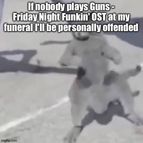 Cat nae nae | If nobody plays Guns - Friday Night Funkin' OST at my funeral I'll be personally offended | image tagged in cat nae nae | made w/ Imgflip meme maker