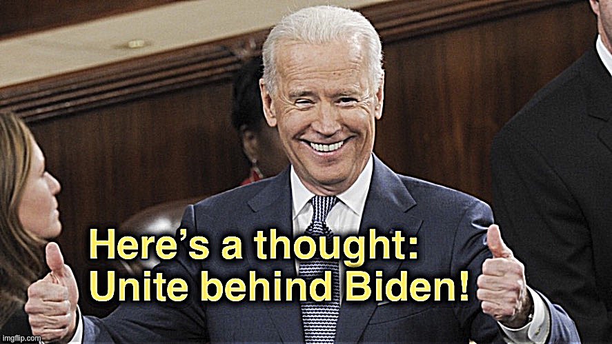 The POTUS, the people’s choice, with a 60+% approval rating and an agenda that’s moving us forward. | image tagged in unite behind biden | made w/ Imgflip meme maker