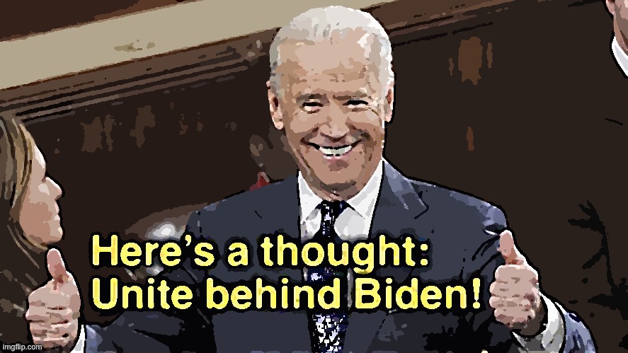 The POTUS, the people’s choice, with a 60+% approval rating and an agenda that’s moving us forward. | image tagged in joe biden,biden,election 2020,conservative logic,president,potus | made w/ Imgflip meme maker