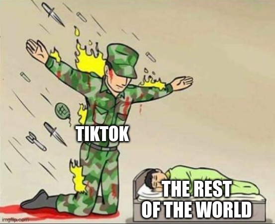 Soldier protecting sleeping child | TIKTOK; THE REST OF THE WORLD | image tagged in soldier protecting sleeping child | made w/ Imgflip meme maker