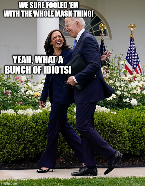 Biden and Harris Laugh at America | WE SURE FOOLED 'EM WITH THE WHOLE MASK THING! YEAH, WHAT A BUNCH OF IDIOTS! | image tagged in politics | made w/ Imgflip meme maker