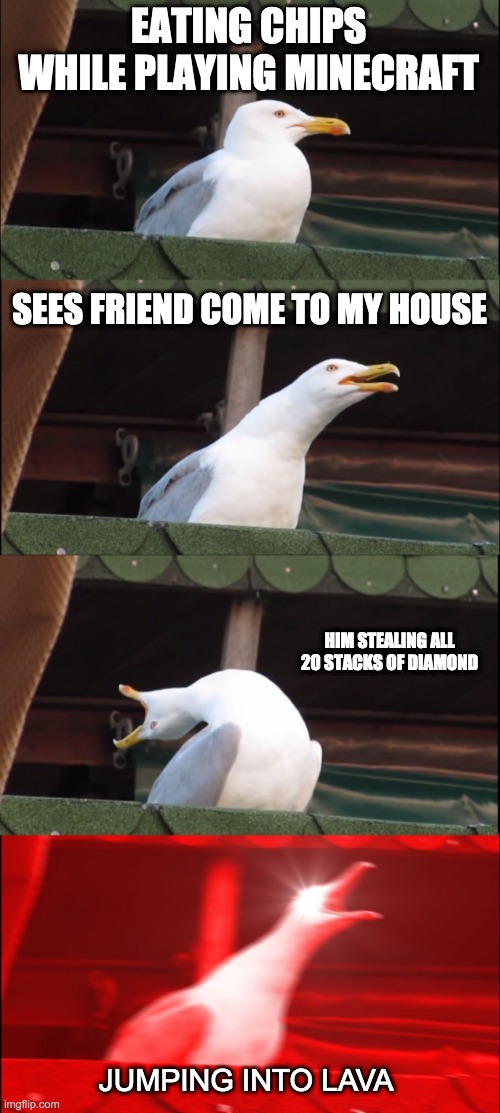 Inhaling Seagull | EATING CHIPS WHILE PLAYING MINECRAFT; SEES FRIEND COME TO MY HOUSE; HIM STEALING ALL 20 STACKS OF DIAMOND; JUMPING INTO LAVA | image tagged in memes,inhaling seagull | made w/ Imgflip meme maker