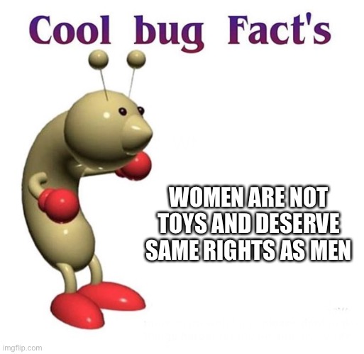 Cool Bug Facts |  WOMEN ARE NOT TOYS AND DESERVE SAME RIGHTS AS MEN | image tagged in cool bug facts | made w/ Imgflip meme maker