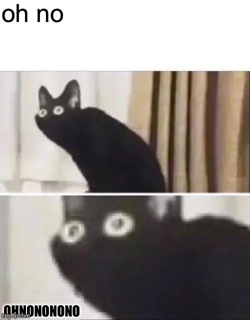 Oh No Black Cat | oh no OHNONONONO | image tagged in oh no black cat | made w/ Imgflip meme maker