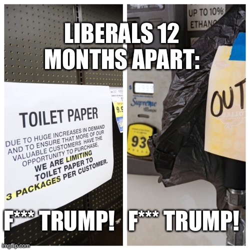 Libbies | LIBERALS 12 MONTHS APART:; F*** TRUMP!   F*** TRUMP! | image tagged in trump,45,maga,snowflakes,democrats,hypocrisy | made w/ Imgflip meme maker