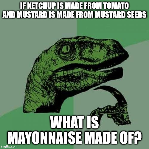 hmmm | IF KETCHUP IS MADE FROM TOMATO AND MUSTARD IS MADE FROM MUSTARD SEEDS; WHAT IS MAYONNAISE MADE OF? | image tagged in memes,philosoraptor | made w/ Imgflip meme maker