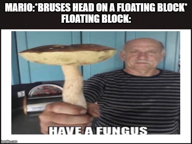 MARIO:*BRUSES HEAD ON A FLOATING BLOCK*
FLOATING BLOCK: | image tagged in fungus | made w/ Imgflip meme maker