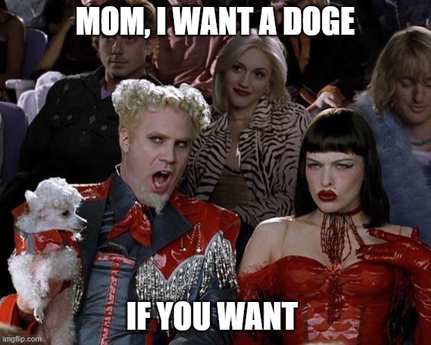 doge da best | MOM, I WANT A DOGE; IF YOU WANT | image tagged in memes,mugatu so hot right now | made w/ Imgflip meme maker