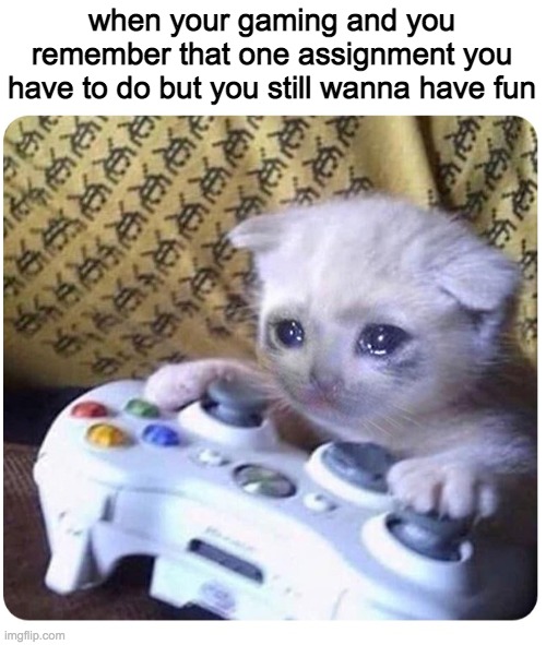 i only feel guilt when this happens | when your gaming and you remember that one assignment you have to do but you still wanna have fun | image tagged in sad cat xbox,memes,gaming,homework,school | made w/ Imgflip meme maker