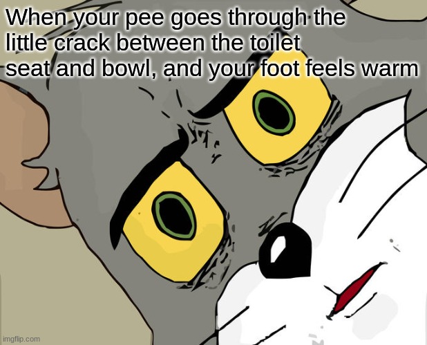 Unsettled Tom | When your pee goes through the little crack between the toilet seat and bowl, and your foot feels warm | image tagged in memes,unsettled tom | made w/ Imgflip meme maker