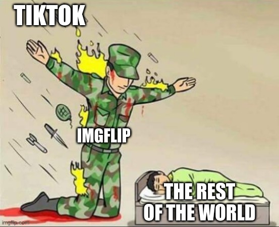 Soldier protecting sleeping child | TIKTOK; IMGFLIP; THE REST OF THE WORLD | image tagged in soldier protecting sleeping child | made w/ Imgflip meme maker