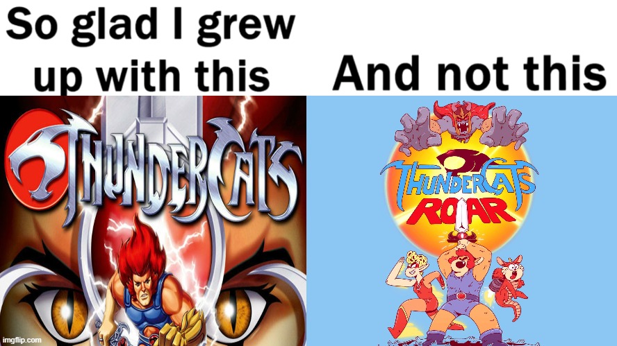 Who else remembers watching this cartoon show? | image tagged in thundercats,memes,fun,funny | made w/ Imgflip meme maker