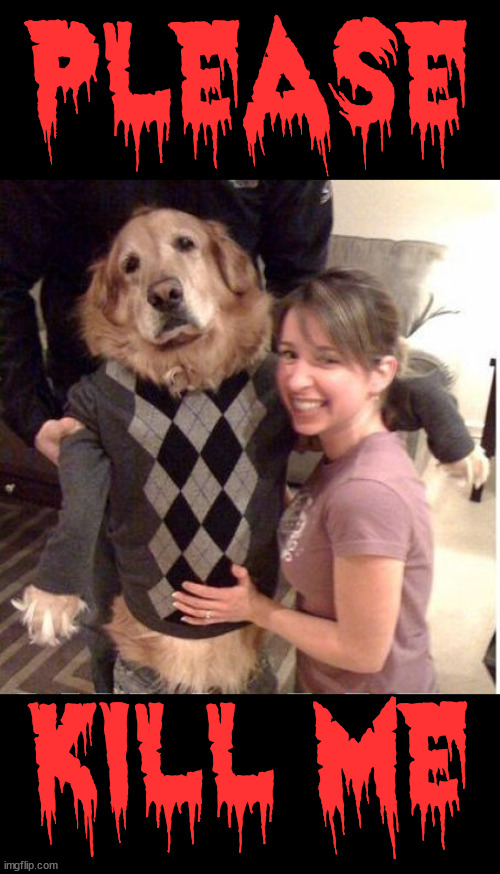 PLEASE; KILL ME | image tagged in dogs | made w/ Imgflip meme maker