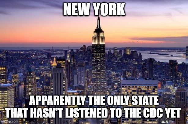 According to the New York Times | NEW YORK; APPARENTLY THE ONLY STATE THAT HASN'T LISTENED TO THE CDC YET | image tagged in new york city | made w/ Imgflip meme maker