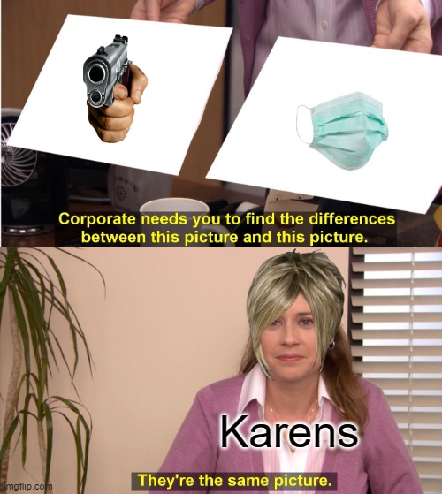 Wow a wild Karen | Karens | image tagged in memes,they're the same picture | made w/ Imgflip meme maker